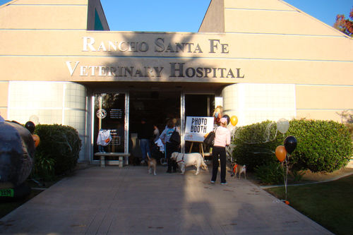 Helen Woodward DSC01650