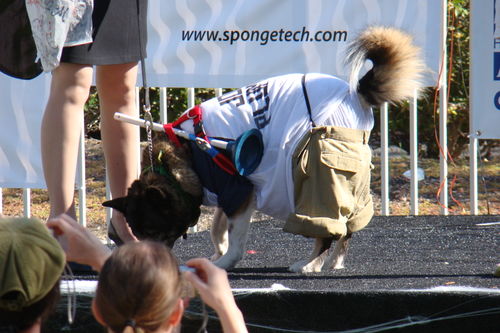 2008-10-25 10-59-29 AM DSC01986