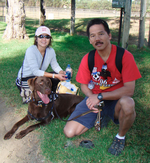 Yume Mocha Curtis DSC01917