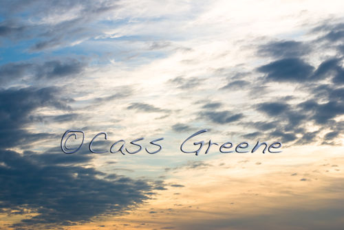 2008-11-01 05-40-18 PM DSC_8290A