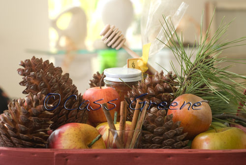 2008-11-01 04-49-21 PM DSC_8188A