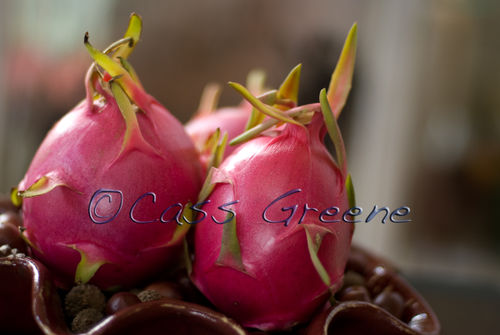 2008-11-01 05-03-18 PM DSC_8224A