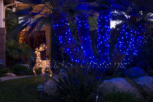 2008-12-19 05-09-21 PM DSC_6227copy