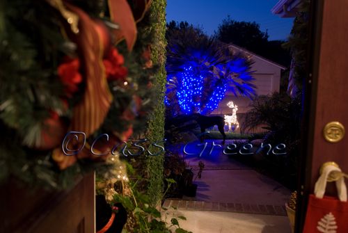 2008-12-19 05-25-06 PM DSC_6271copy