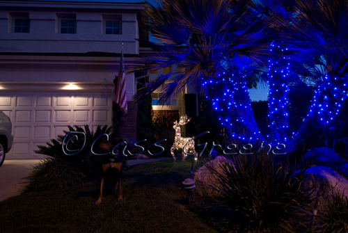 2008-12-19 05-17-57 PM DSC_6246copy