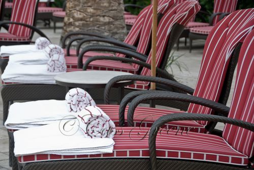 2008-12-08 11-05-43 AM DSC_4255copy