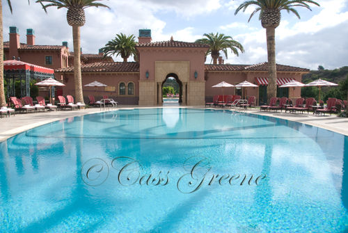 2008-12-08 10-36-53 AM DSC_4162copy