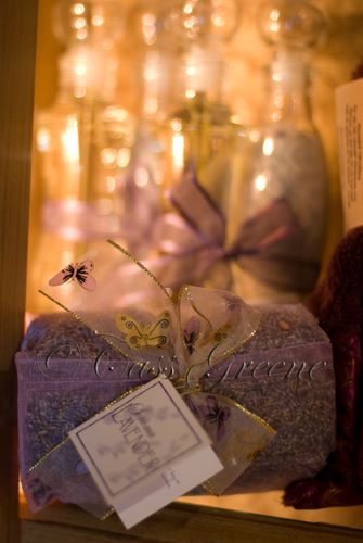 2008-12-08 10-01-35 AM DSC_4104copy