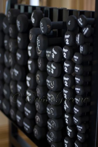 2008-12-08 09-01-48 AM DSC_3947copy