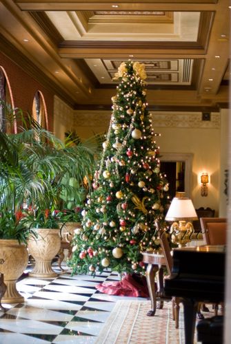 2008-12-08 01-01-04 PM DSC_4339copy