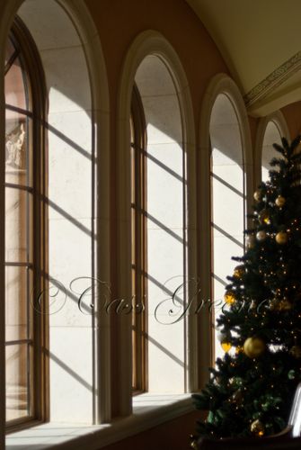 2008-12-08 01-13-56 PM DSC_4377copy