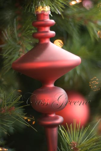 2008-12-08 09-23-50 AM DSC_4015copy