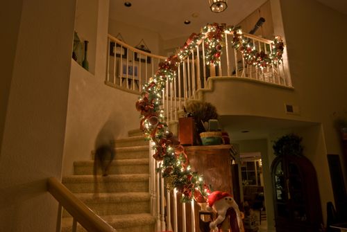 Sneaking down the Stairs DSC3836