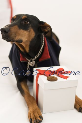 Q It's mine Gifts DSC3770 copy