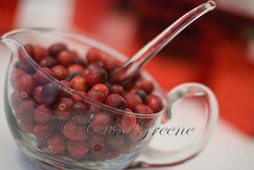 Cranberries DSC_1600 copy