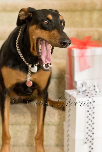 Quigley bored DSC_3181 copy