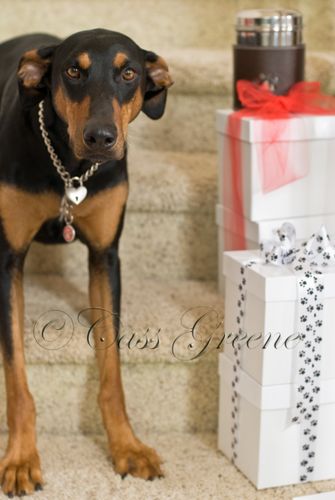 Q Stairs DSC3188 copy