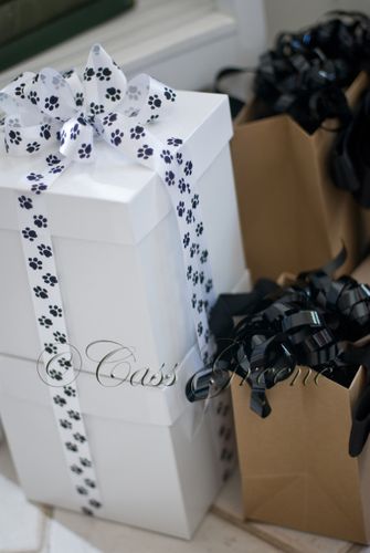 Dog Bow DSC 2865 copy