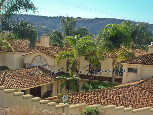 Tile Roof DSC07069 copy