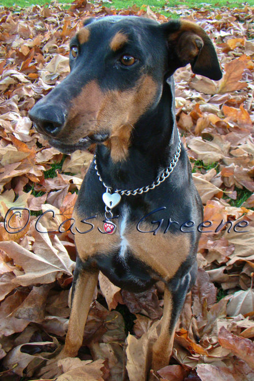 Quigley DSC04148 copy