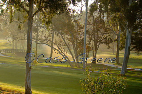 Sunrise 111908 DSC04190 copy