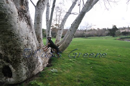 2009-01-26 06-51-45 AM _DSC2867