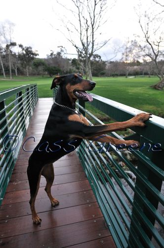 2009-01-26 06-49-28 AM _DSC2844