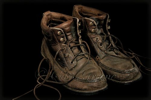 Work Shoes _DSC3047 copy