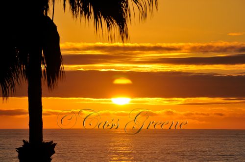 2009-01-23 05-06-06 PM _DSC1995