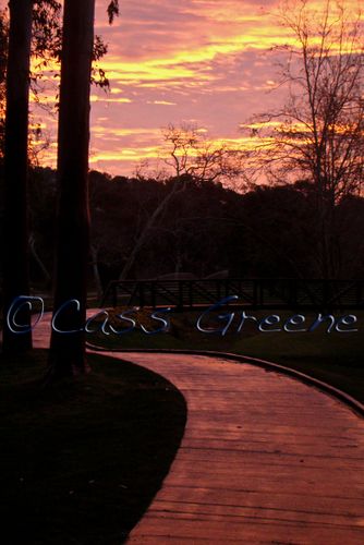 2009-01-19 07-46-09 AM DSC07735