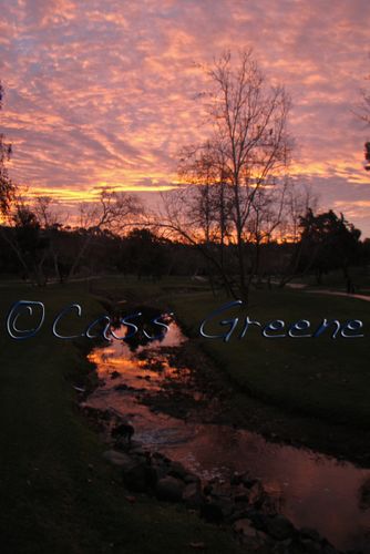 2009-01-19 07-47-40 AM DSC07745