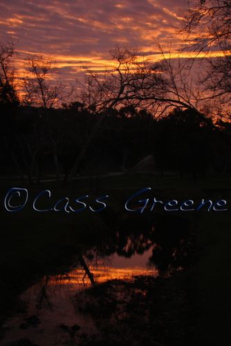 2009-01-19 07-48-10 AM DSC07750