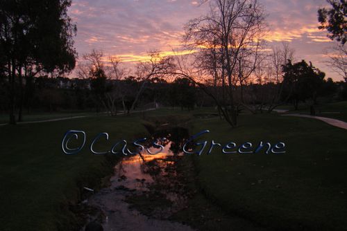 2009-01-19 07-49-15 AM DSC07758