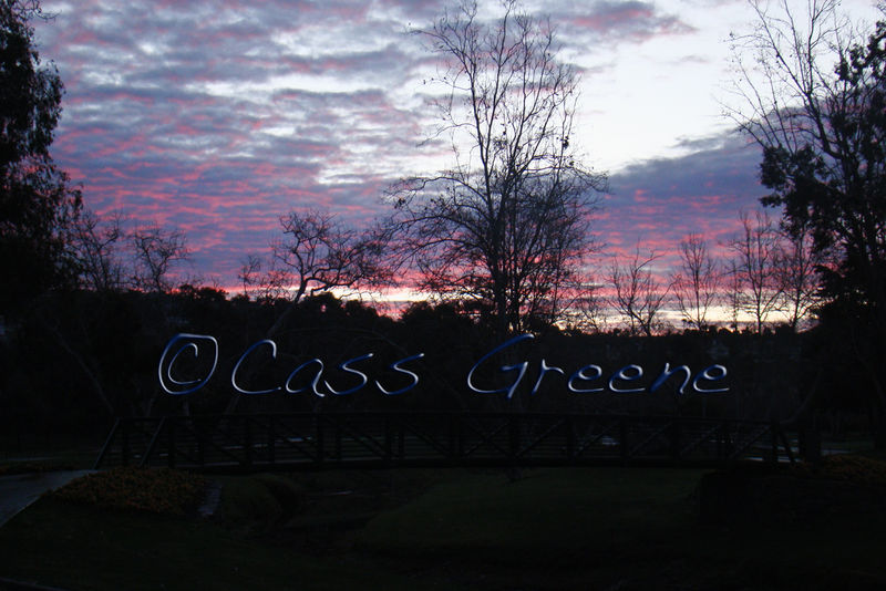 2009-01-20 07-44-21 AM DSC07808