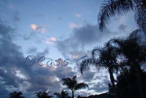 2009-01-21 07-55-37 AM DSC07913