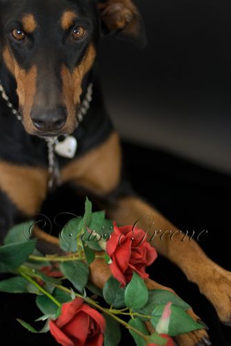 2009-01-15 10-30-46 AM DSC_0118