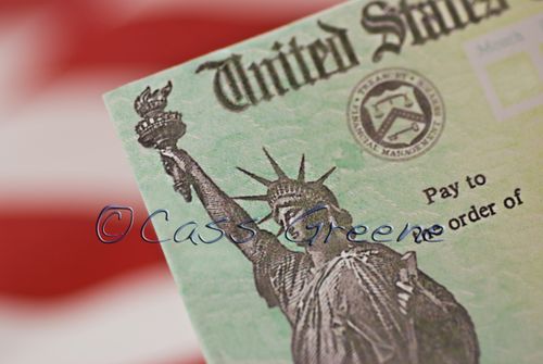 Gov Check DSC_8319 copy