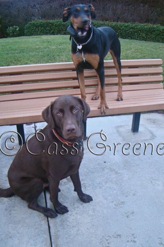 2009-01-04 08-00-47 AM DSC07239copy