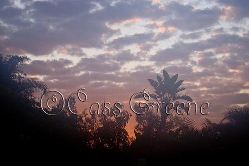 2009-01-04 08-03-05 AM DSC07250copy