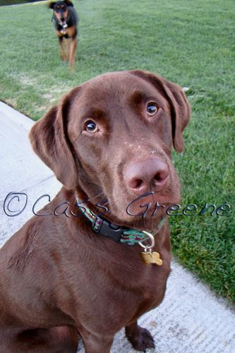 Mocha Me DSC06977 copy