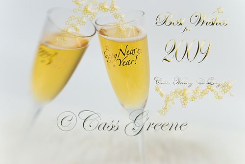 New Year 2009 DSC_6895 copy