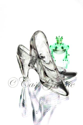 Illusions 2009-02-25 10-52-54 AM _CAS8341