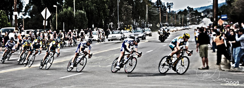 Yellow grunge2009-02-22 03-30-34 PM _CAS7667