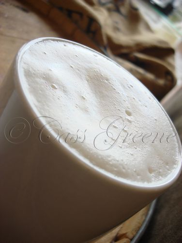 2009-02-16 01-11-29 PM DSC08663