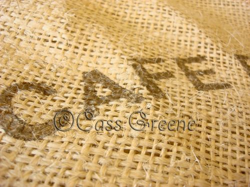 2009-02-16 01-59-03 PM DSC08713