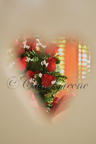 2009-02-12 09-24-06 AM _CAS5592