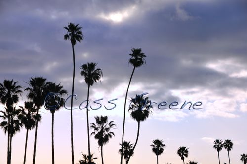 2009-02-14 07-52-56 AM _CAS6372