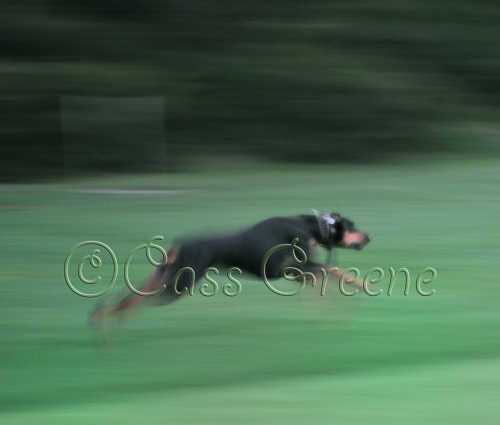 2009-02-14 06-19-48 AM _CAS6243