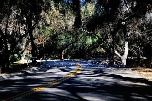 2009-02-03 09-46-23 AM NoBlur DSC3835