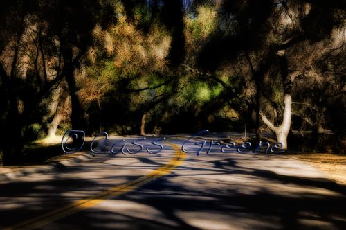 2009-02-03 09-46-23 AM2 _DSC3835 copy